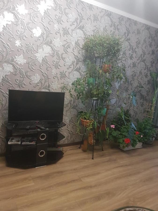 2Х Комнатная С Ремонтом В Центре.Renovated, Center Apartment Khmel'nyts'kyy Ngoại thất bức ảnh