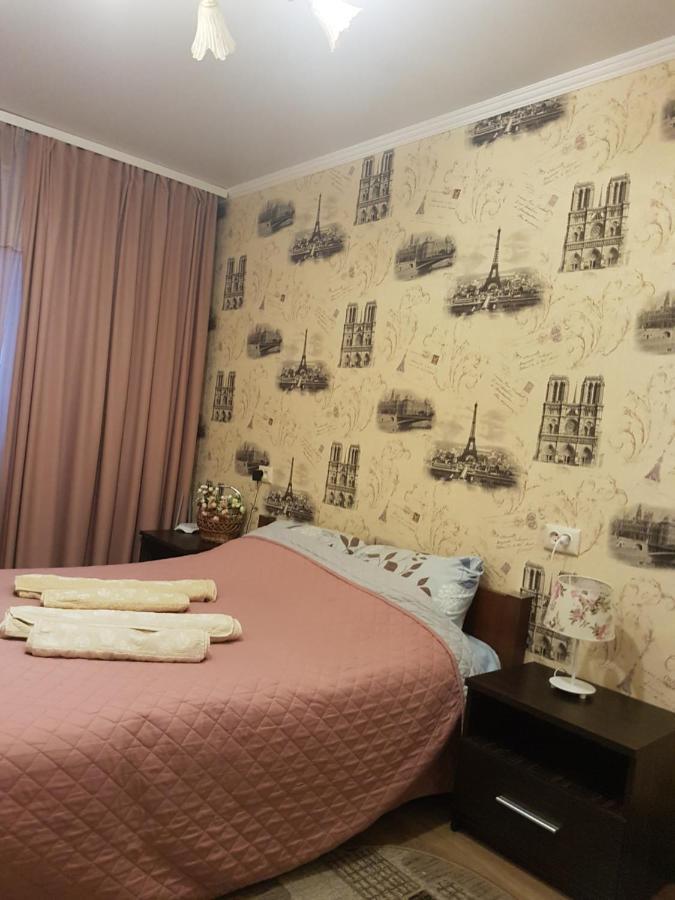 2Х Комнатная С Ремонтом В Центре.Renovated, Center Apartment Khmel'nyts'kyy Ngoại thất bức ảnh